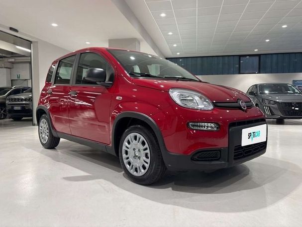 Fiat Panda 51 kW image number 3