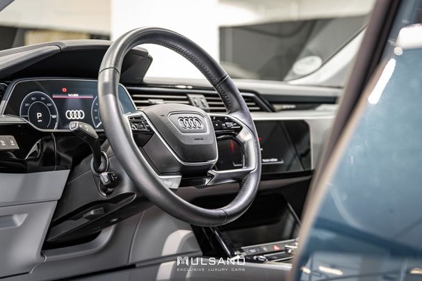 Audi e-tron 50 quattro Advanced 230 kW image number 12