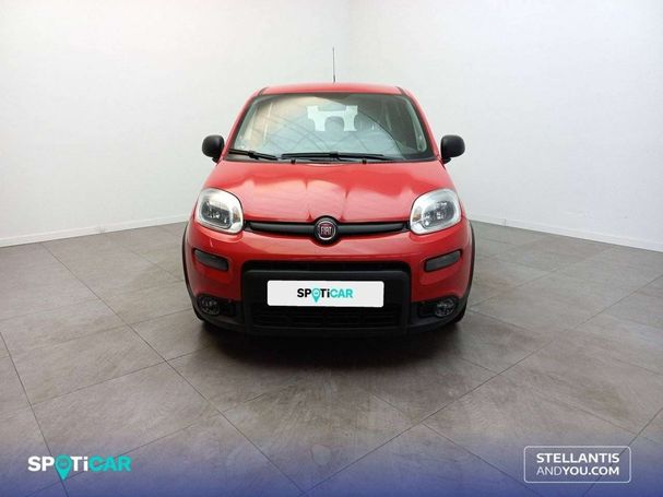 Fiat Panda 1.0 GSE Hybrid City 51 kW image number 3