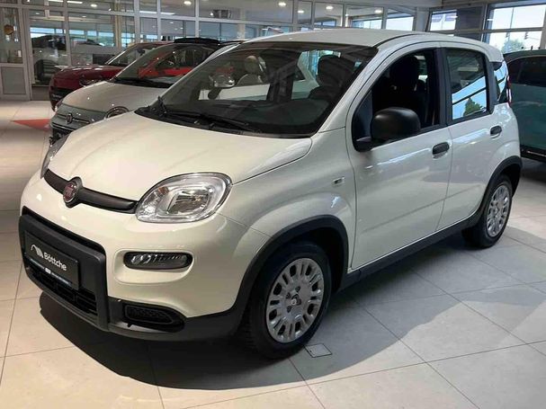 Fiat Panda 51 kW image number 1