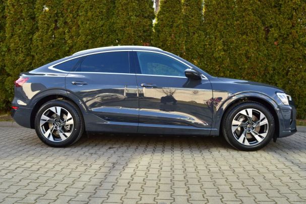 Audi e-tron 250 kW image number 14