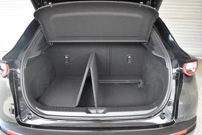 Car image 24