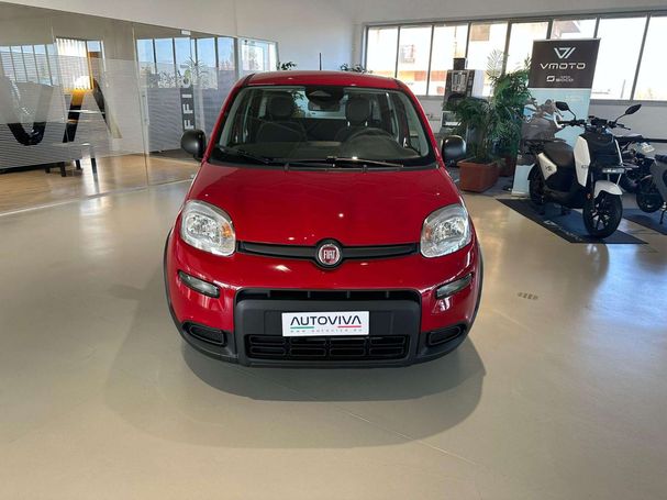 Fiat Panda 51 kW image number 3