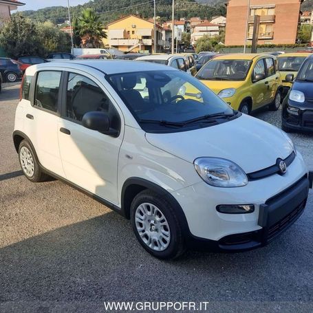 Fiat Panda 51 kW image number 3