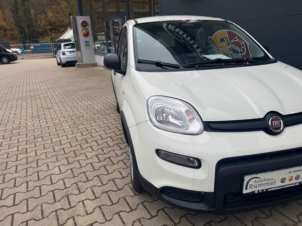 Fiat Panda 51 kW image number 4