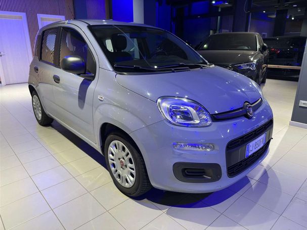 Fiat Panda 1.0 Hybrid 51 kW image number 2