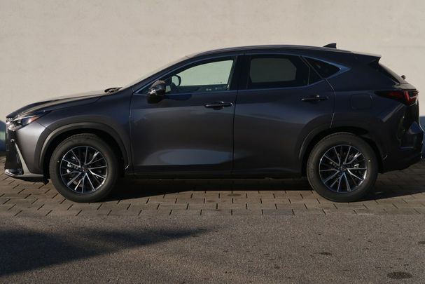 Lexus NX 450 h 227 kW image number 5