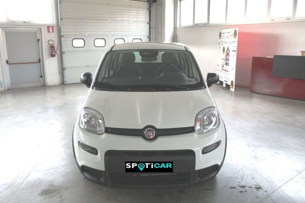 Fiat Panda 51 kW image number 3