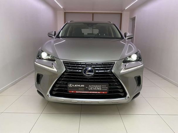 Lexus NX 300 H 145 kW image number 3