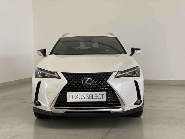 Lexus UX 250h Executive 135 kW image number 2