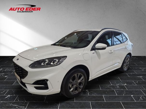 Ford Kuga 165 kW image number 1