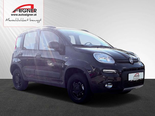 Fiat Panda TwinAir 4x4 Wild 63 kW image number 1