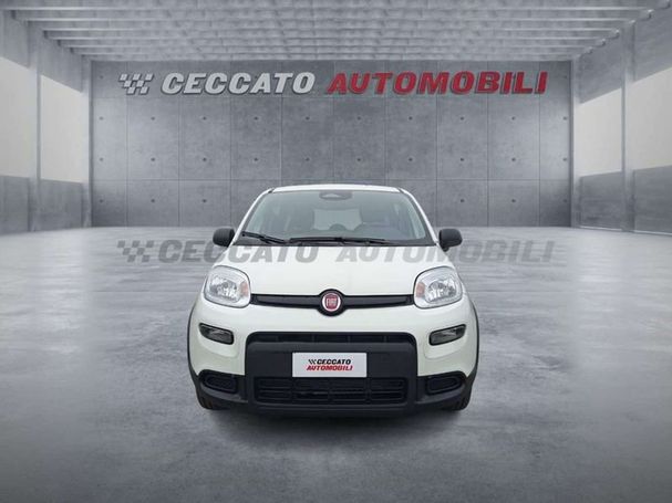 Fiat Panda 51 kW image number 2