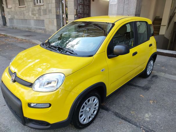 Fiat Panda 51 kW image number 1