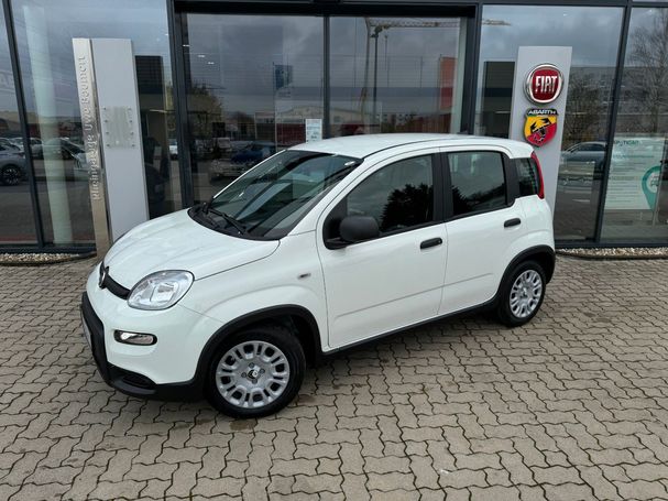 Fiat Panda 51 kW image number 2