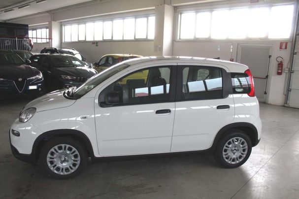 Fiat Panda 51 kW image number 2