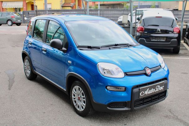 Fiat Panda 1.0 Hybrid 52 kW image number 2