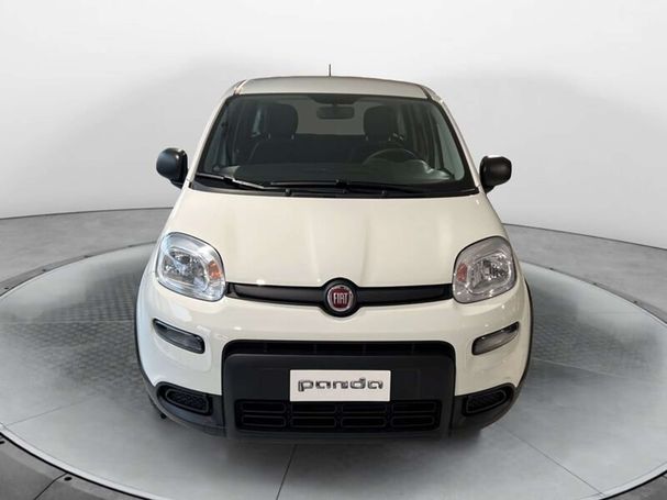 Fiat Panda 1.0 Hybrid 51 kW image number 6