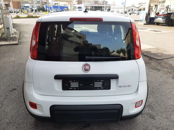 Fiat Panda 1.0 Hybrid 51 kW image number 5